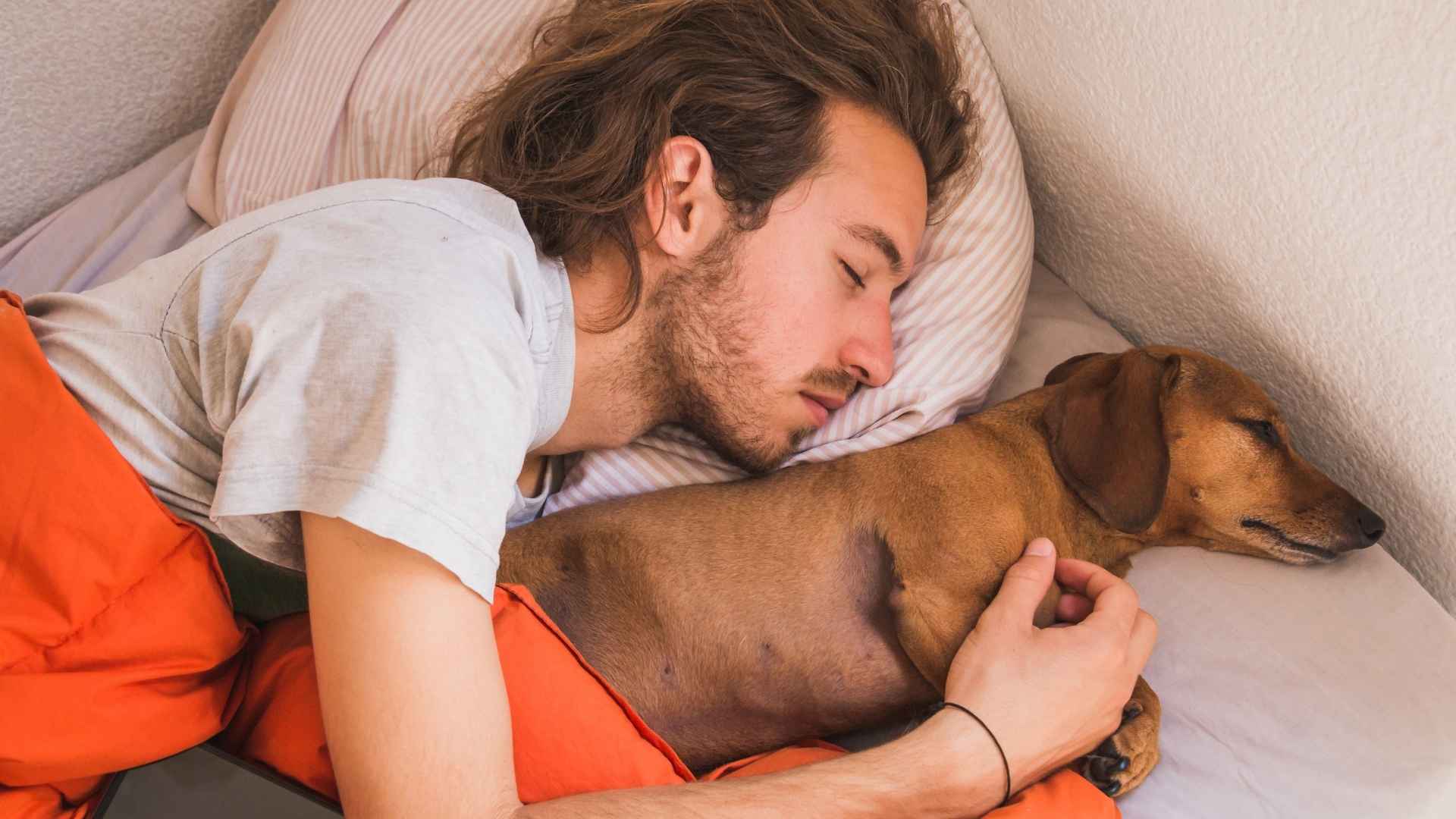 Perro duerme con su dueño